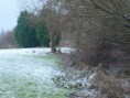 /album/my-local-birding-gallery/winter-returns-to-my-patch-jpg/